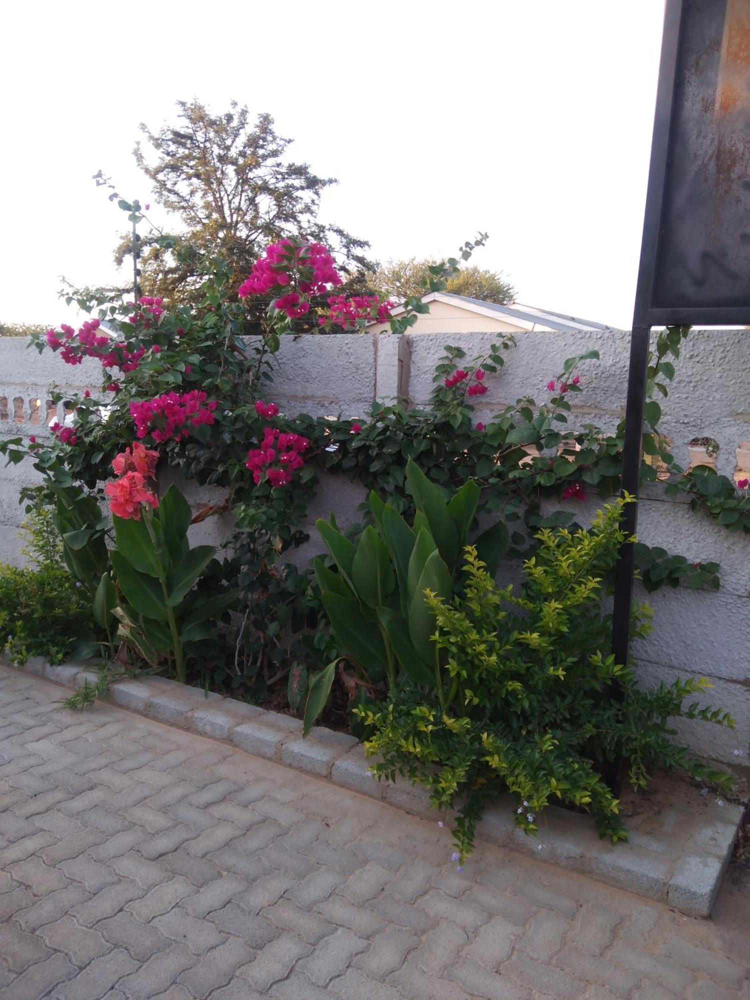 The Star B&B Jwaneng Exterior foto